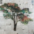 Philliphua-platanus2-64x84