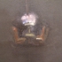 Pa300247