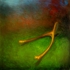 Wishbone_lg