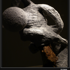 Fuk02