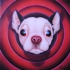 Sizer_lg_lil_pup