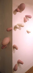 Blush2