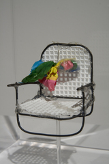 Lawnchair from Larry,Aspen Mays