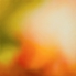 Citrusstudy