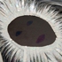 Strangesw_11_02