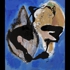 Dc_color_2