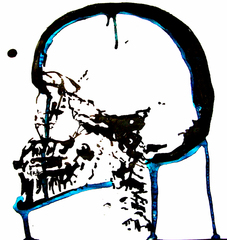 Tshirt Graphic,Sasha Polan