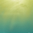 Leilasingleton-surfacing