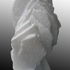 Coral_6
