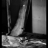 Nocturnal020