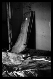 Nocturnal020