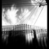 Nocturnal003