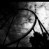 Nocturnal001