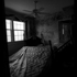Nocturnal005