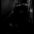 Nocturnal006
