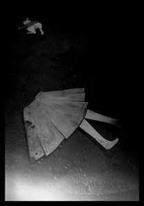 Nocturnal009