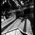 Nocturnal012