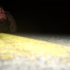 Ontheline