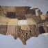 Americansoil