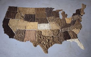 Americansoil