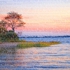 Dead_horse_bay