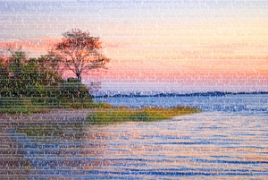 Dead_horse_bay