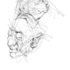 Faces_2-6_
