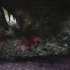 Purgatory