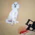 Dog63web