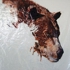 Alicia_escott__drawn_archive_of_biodegrading_drawing