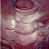 2009_bobina_vii