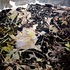 20120222040636-black_and_yellow_tvf1107_54x42_168kb