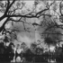 Napoleon_avenue__new_orleans__2005