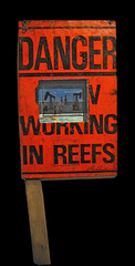 "Flag Warning",Laura Lynch