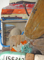 "PARROT FISH: Species Adaptation..." (detail),Laura Lynch