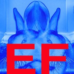 "Ethereal Fauna: The Artist\'s Muse",