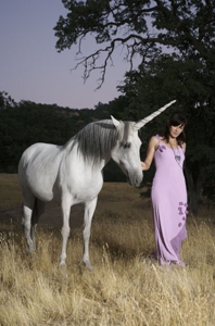 13_unicorn_copy