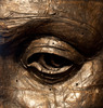 20120228231313-javier-eye-facebook