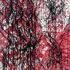 N566211132_758980_5949