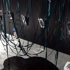 Vines_lake_greenhouse