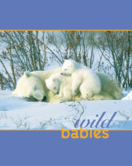 Wild Babies,