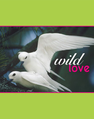 Wild Love,