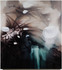 Atherton_cotton