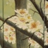 Misty_february_almond_blossom