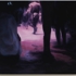 Atherton_nocturnal