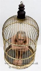 Cage-large