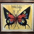 Papillon