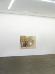 Gelb,David Ostrowski