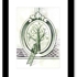 Currency8