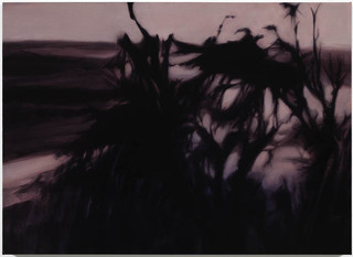 Werner Herzog, Kawait,Hope Atherton
